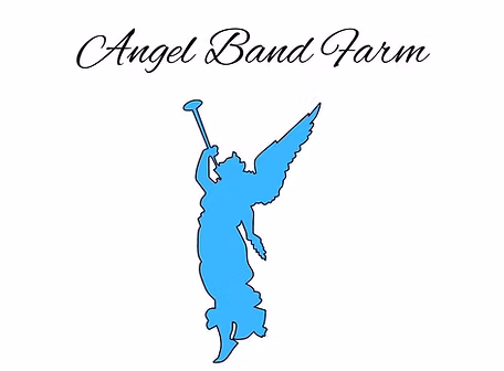 angel Band Farm (1).jpg